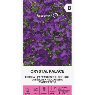 Seklos Лобелия Лилава Кристал Палас Crystal palace