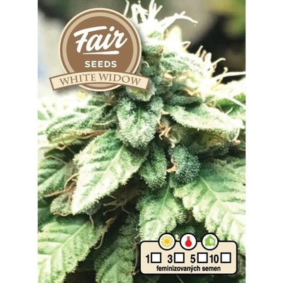Fair Seeds White Widow semienka neobsahujú THC 10 ks