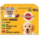 Pedigree Junior kuřecí 12 x 100 g