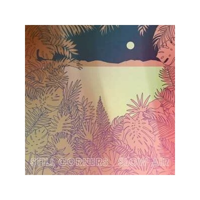 STILL CORNERS - SLOW AIR CD