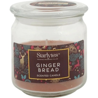 Starlytes Christmas Ginger Bread 227 g