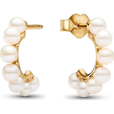 Pandora 263179C01