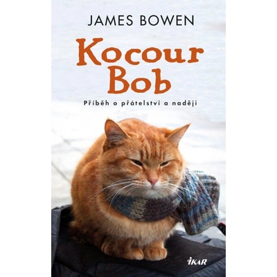 Kocour Bob - James Bowen