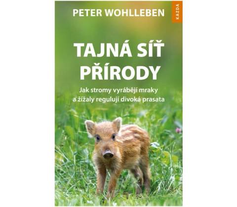 Tajná síť přírody