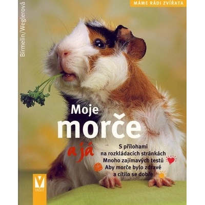 Moje morče a já