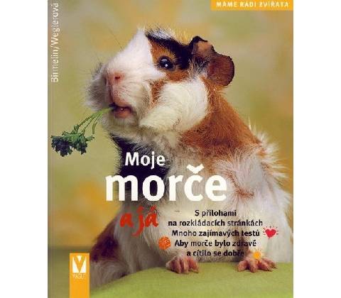 Moje morče a já