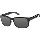Oakley Holbrook OO9102-E155