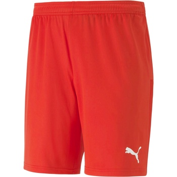 PUMA Team goal 23 knit shorts l