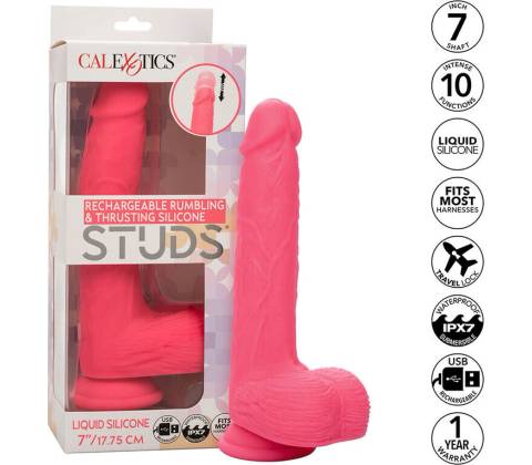 CalExotics Studs