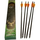 Barnett Carbon 20″ 5 ks