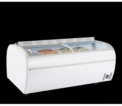 Tefcold 250-CF-P
