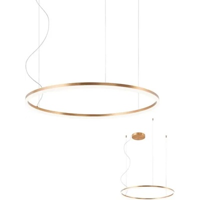 Redo Group ORBIT 01-1713