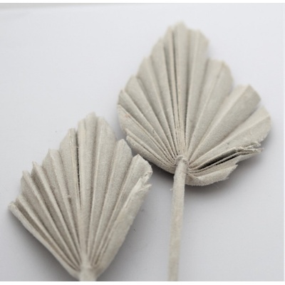 Palmový list (palm spear) - natur - 35 cm