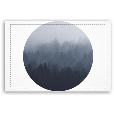 Fotoobraz 60x40 cm malý Forest in the fog