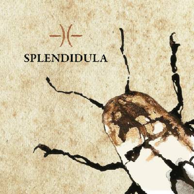 SPLENDIDULA - SPLENDIDULA CD
