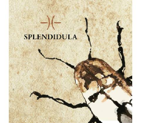 SPLENDIDULA - SPLENDIDULA CD