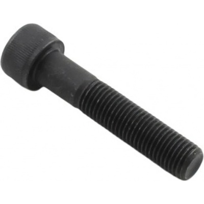Skrutka M10x45x1,25mm