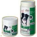 Vitamíny a doplnky stravy pre psov Orling Gelacan Fast 150 g