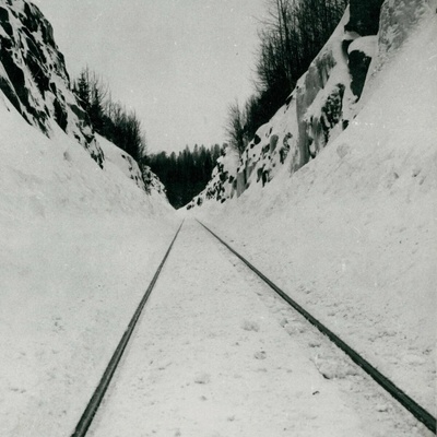 Microtub - Thin Peaks LP