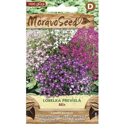 Lobelka previsnutá zmes farieb MoravoSeed