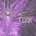 CYNIC - REFOCUS CD