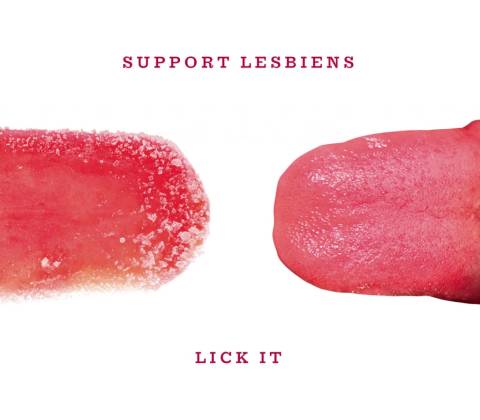 SUPPORT LESBIENS: LICK IT CD