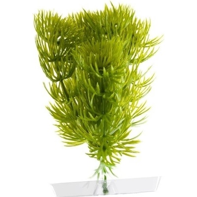 JK ANIMALS Anacharis 13-16 cm