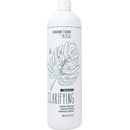 Bes Colour Lock Clarifying Shampoo 1000 ml