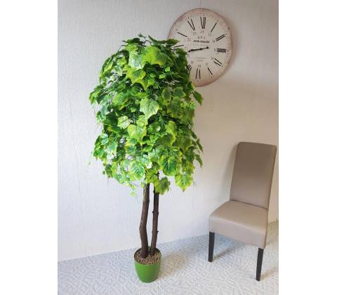 Hrozno zelené 200 cm