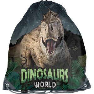 PASO - Спортна торба Dinosaur PP23DZ-712