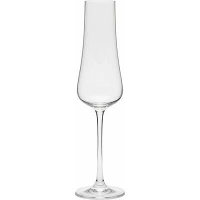 Crystal Bohemia BOHEMIA IDUNA POHÁR NA ŠAMPANSKÉ 6 x 250 ml