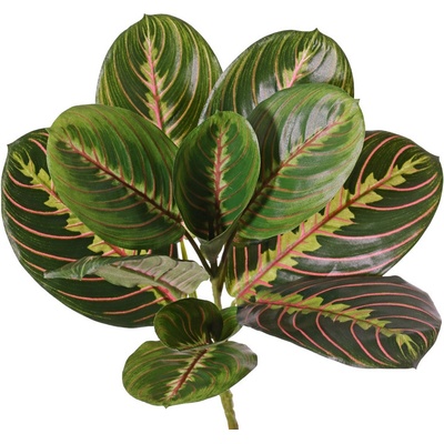 Umělá květina Maranta, 28cm