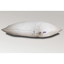 SPIMSI Antialergický vankúš EasyPillow 70x90