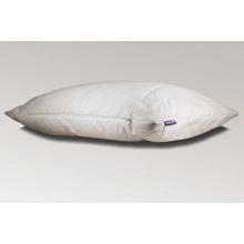 SPIMSI Antialergický vankúš EasyPillow 70x90