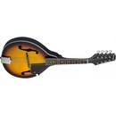 Stagg M20