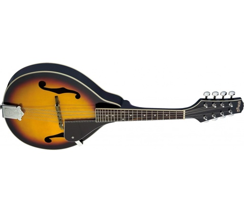 Stagg M20