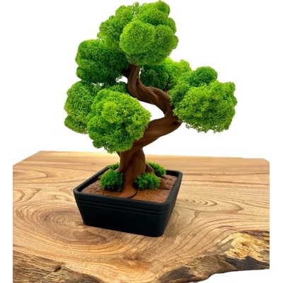 Machový 3D bonsai