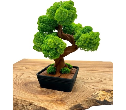 Machový 3D bonsai