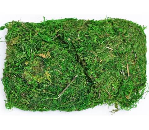 NATUR MACH 50GR