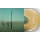 In All Her Forms - Devil's Witches LP