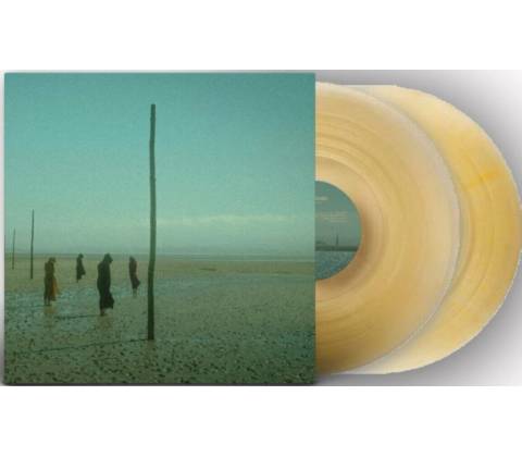 In All Her Forms - Devil's Witches LP