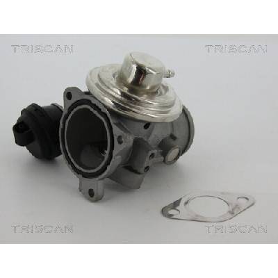 AGR - Ventil TRISCAN 8813 29057