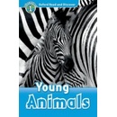 Young Animals -