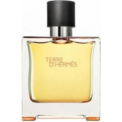 Hermès Terre D'Hermes EDP 125 ml