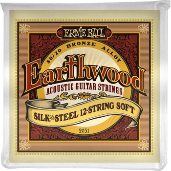 Ernie Ball 2051