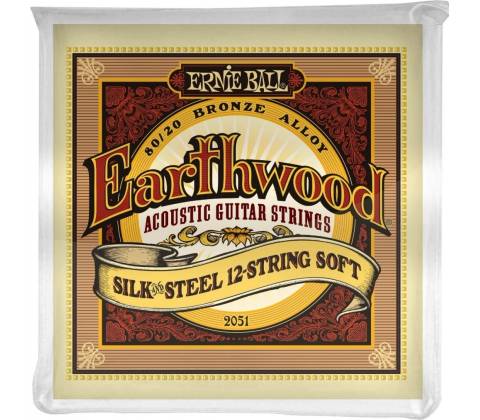 Ernie Ball 2051