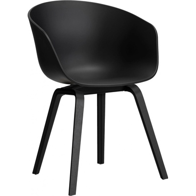 HAY AAC 22 black