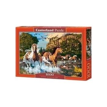 Castorland C-104789-2 пъзел 1000 броя Животни (469899) (469899)