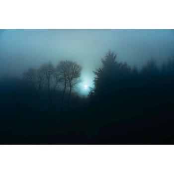 DIMEX ART s. r. o Флизелинов фототапет мъглива нощна гора 375 x 250 см