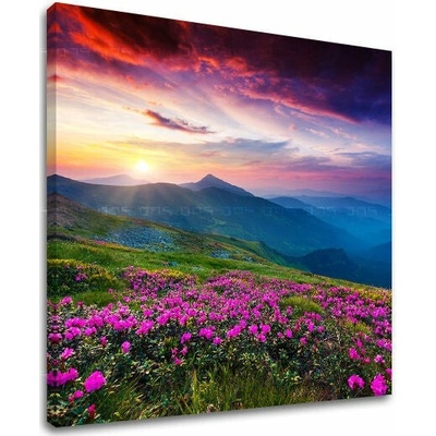 Obraz kvitnúcej lúky v slovenských horách na plátne — štvorcový formát - 30x30 cm